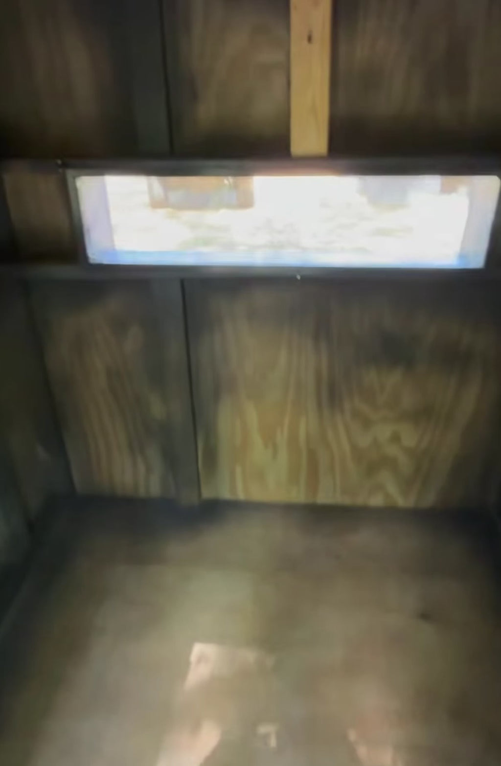 Plexiglass Windows